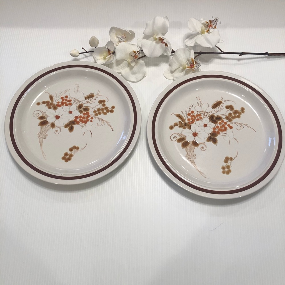 Vintage Four Season Dinner Plates Size 10.75” Diameter